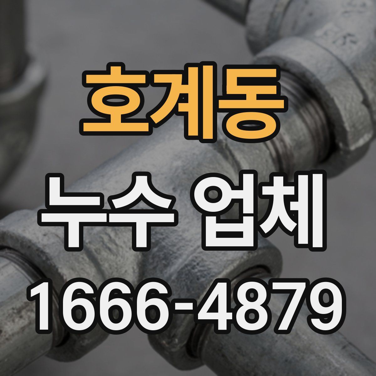 호계동 누수 업체