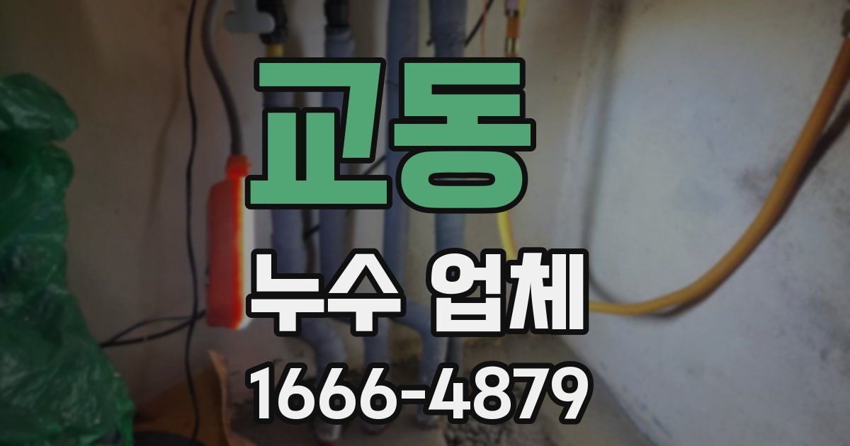 교동 누수 업체
