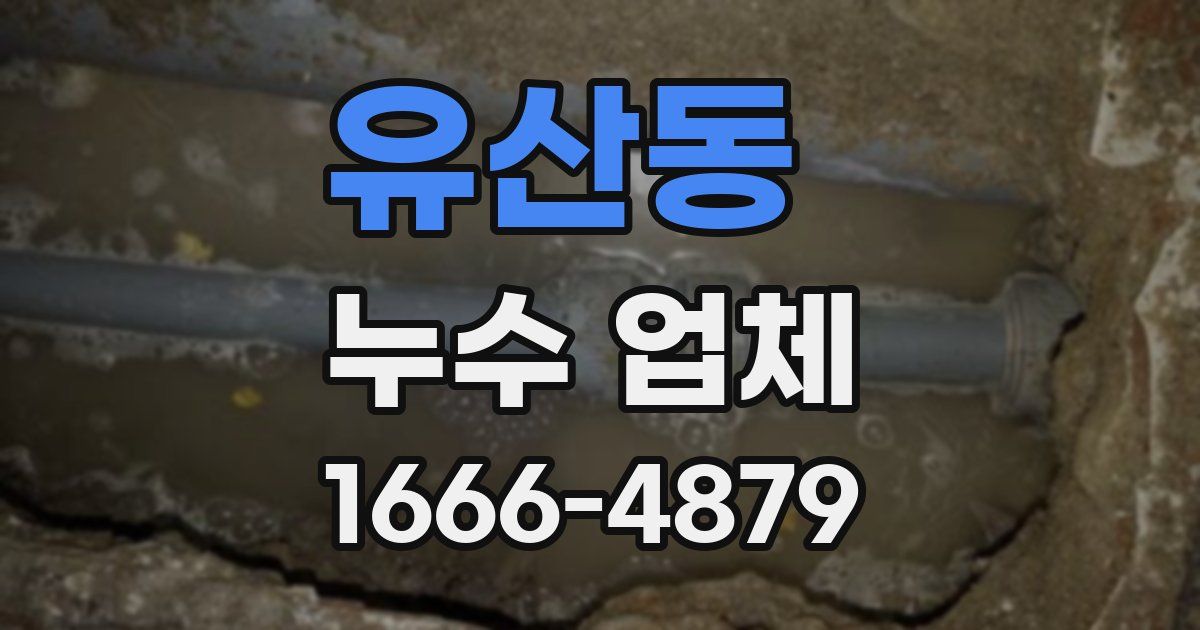 유산동 누수 업체