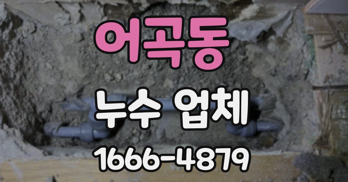 어곡동 누수 업체