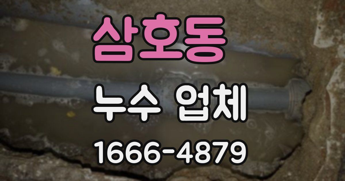 삼호동 누수 업체