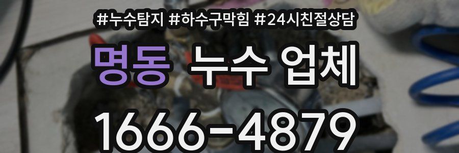 명동 누수 업체