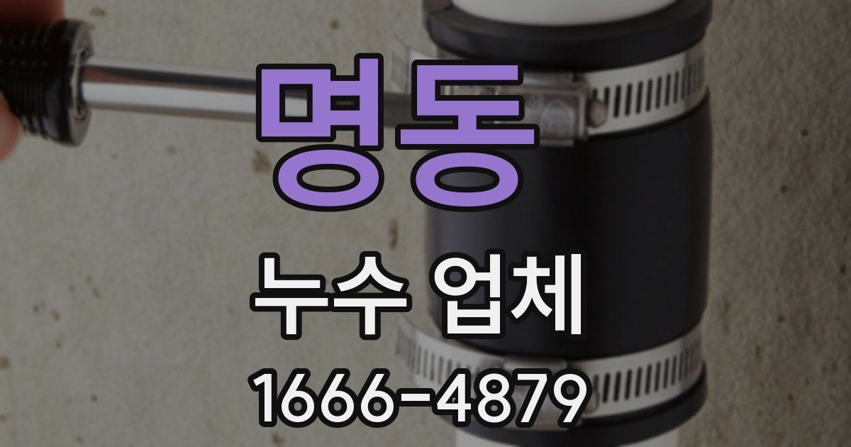 명동 누수 업체