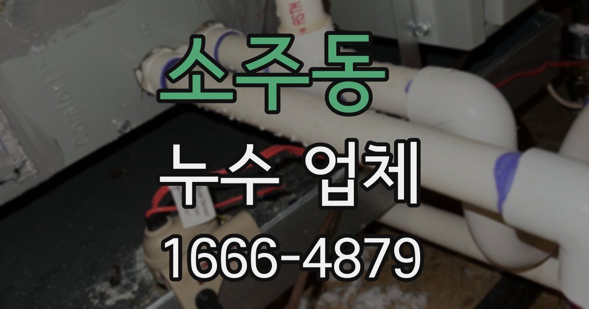소주동 누수 업체
