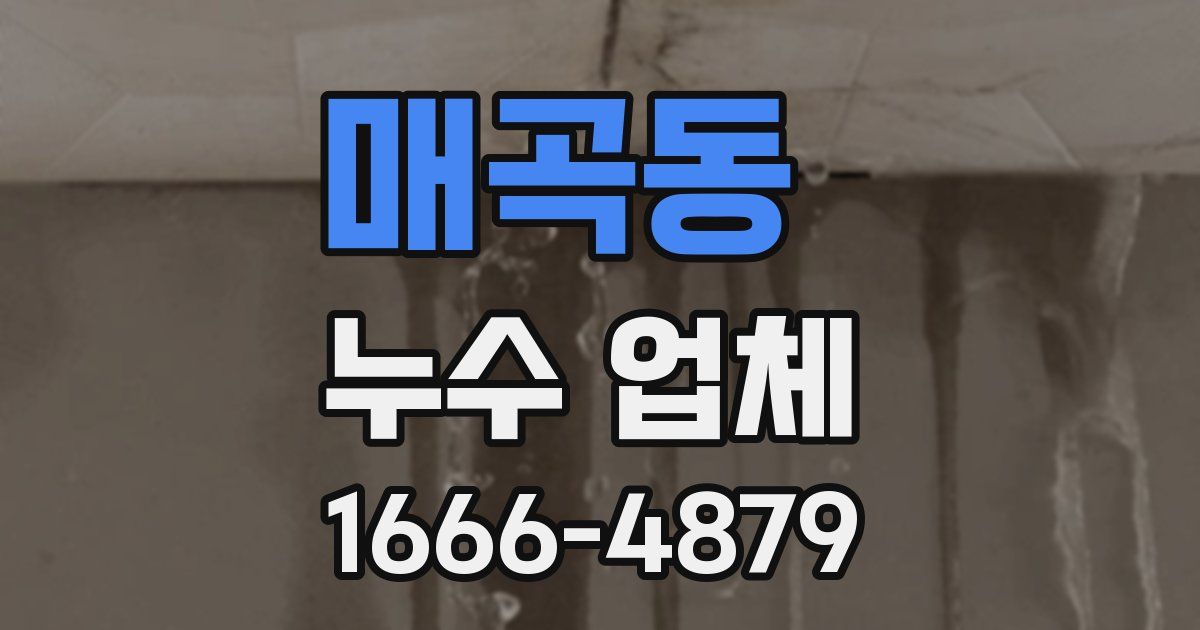매곡동 누수 업체