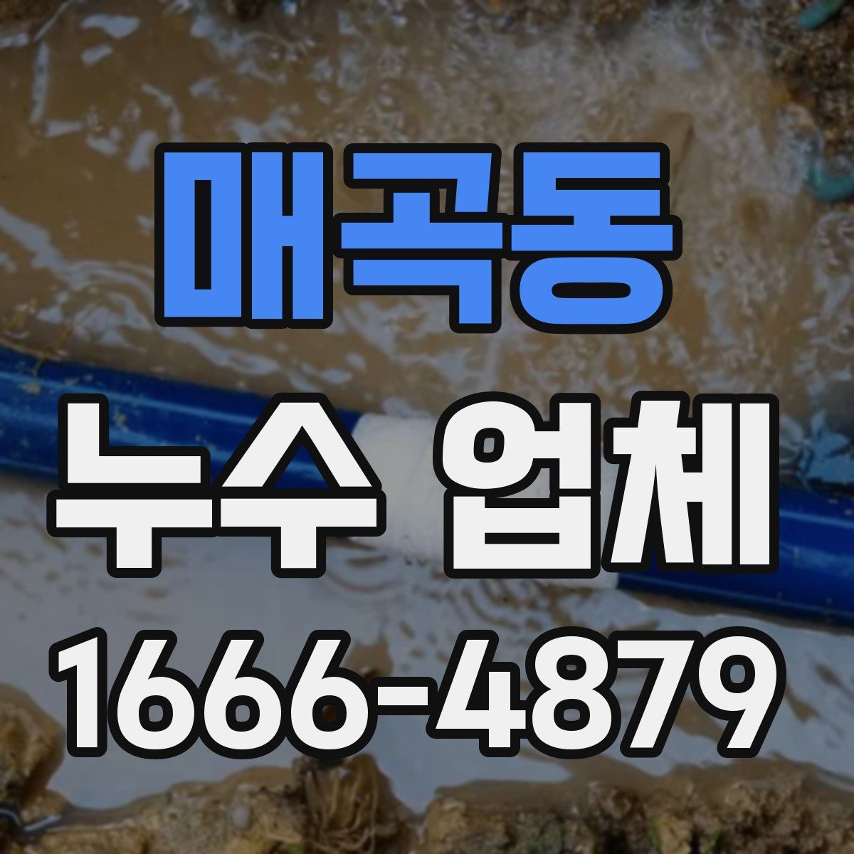 매곡동 누수 업체
