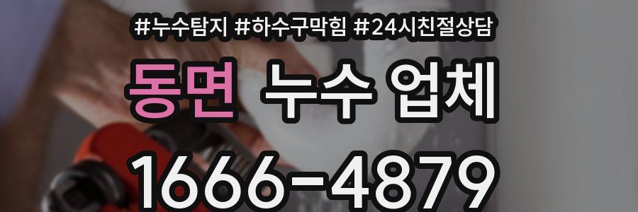 동면 누수 업체