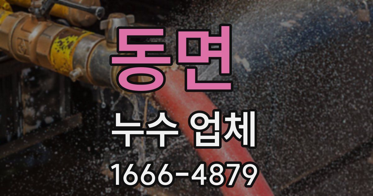 동면 누수 업체