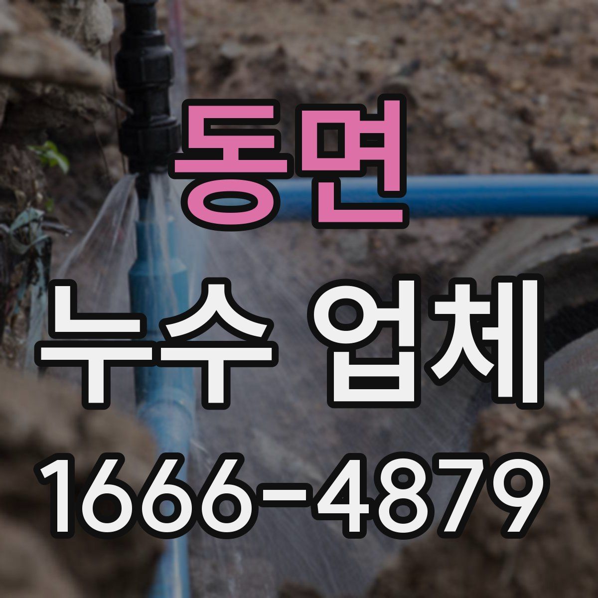 동면 누수 업체