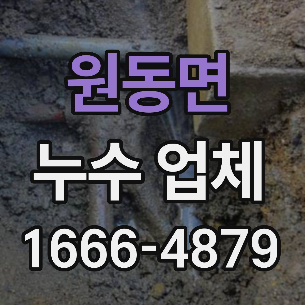 원동면 누수 업체