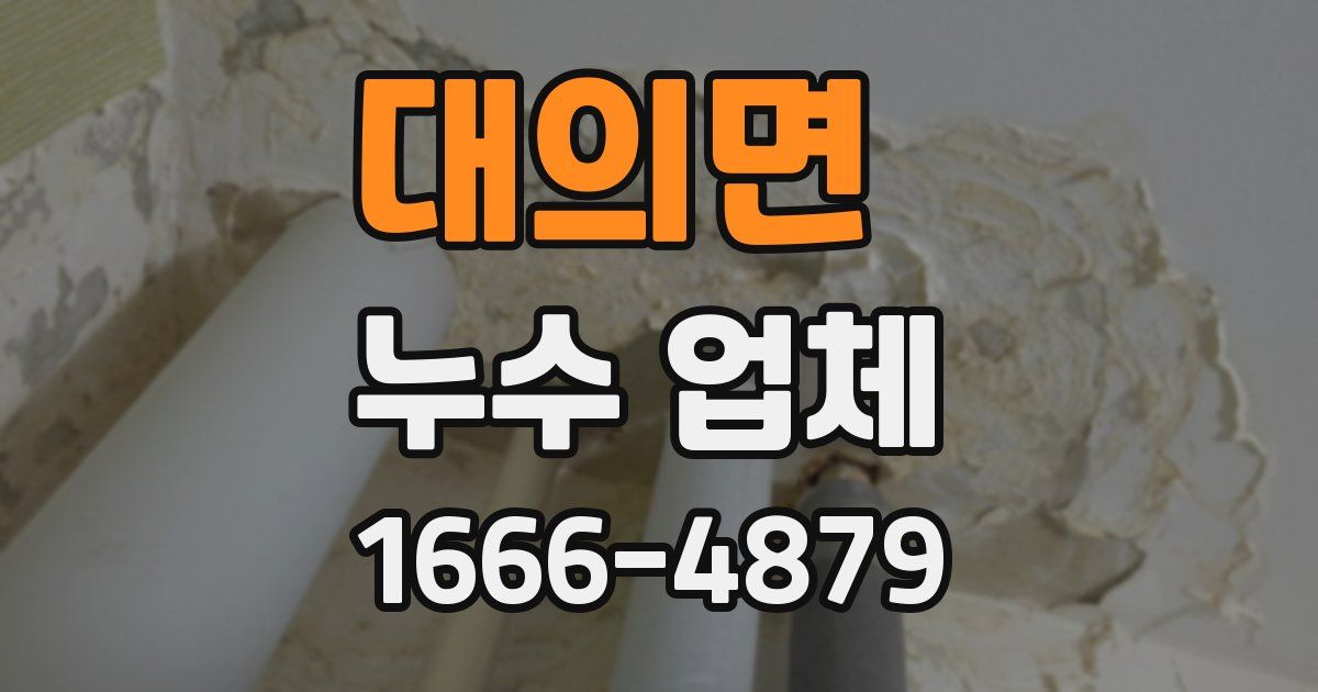 대의면 누수 업체