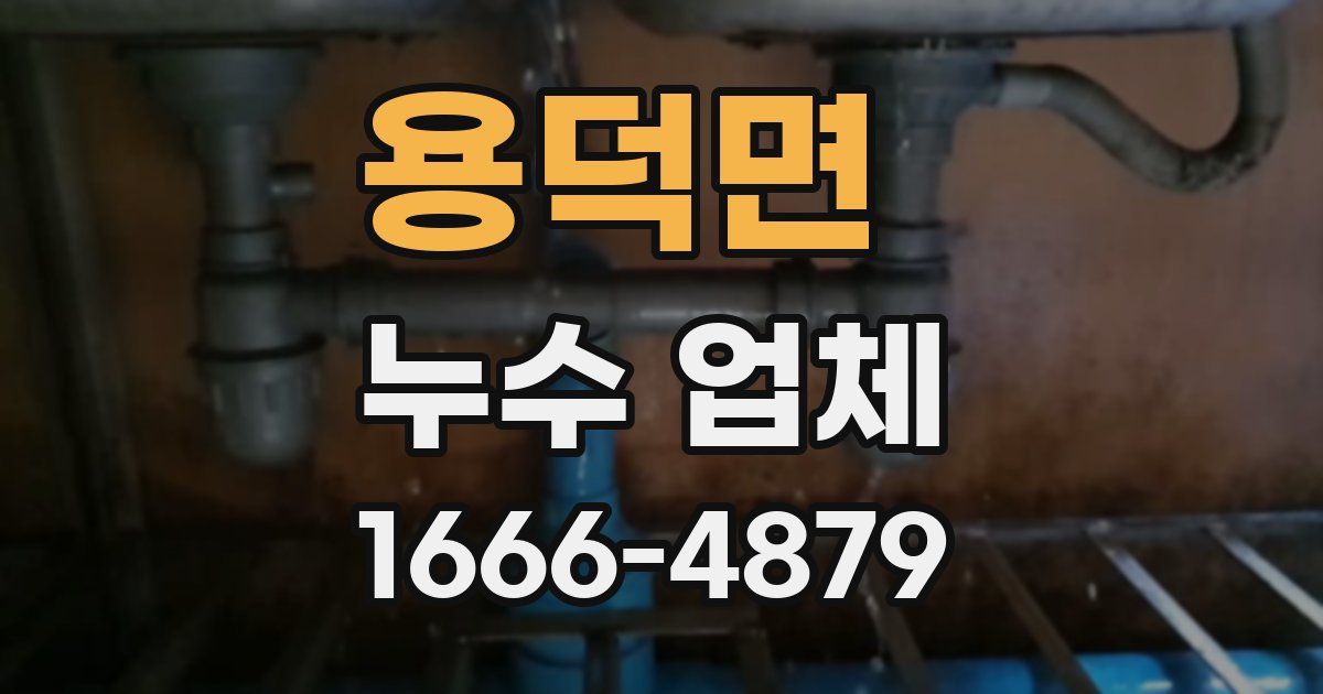 용덕면 누수 업체