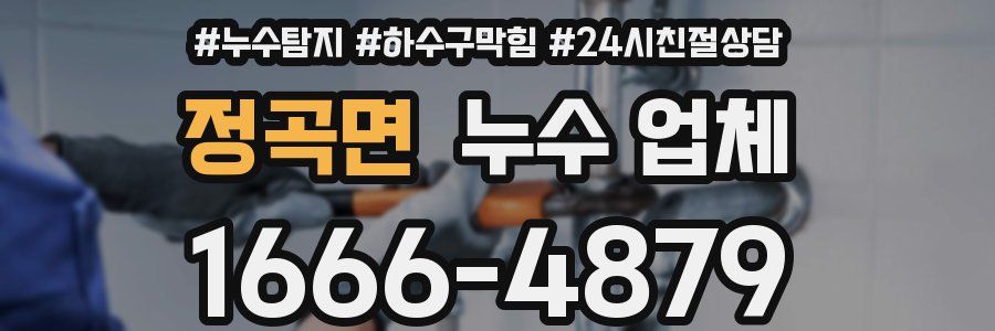 정곡면 누수 업체