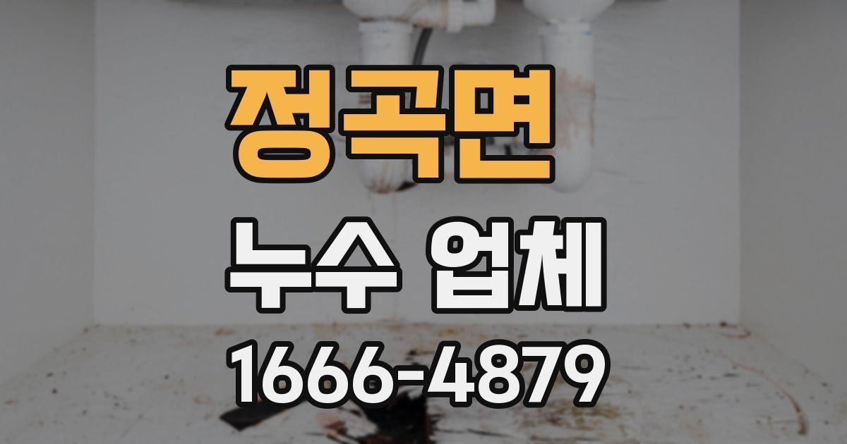 정곡면 누수 업체