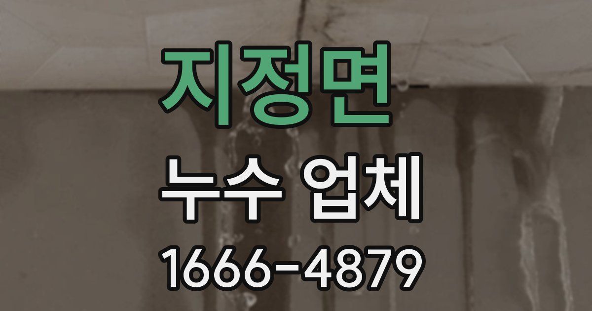지정면 누수 업체