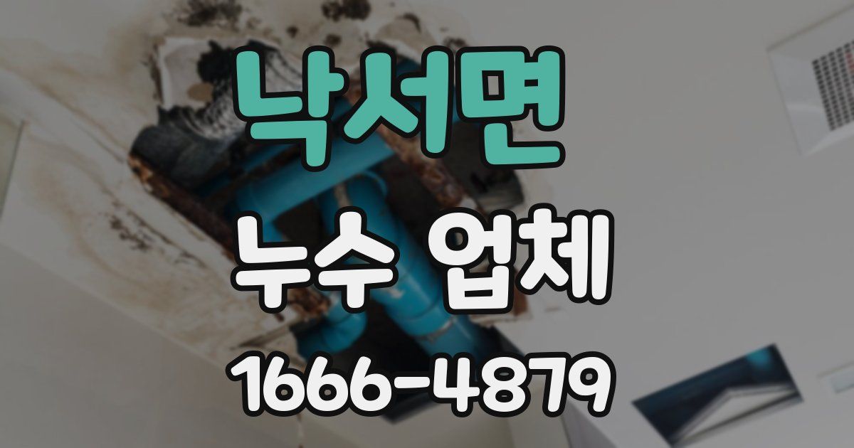 낙서면 누수 업체