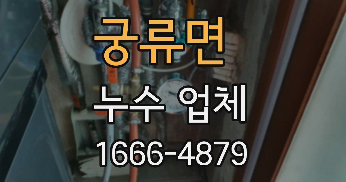 궁류면 누수 업체
