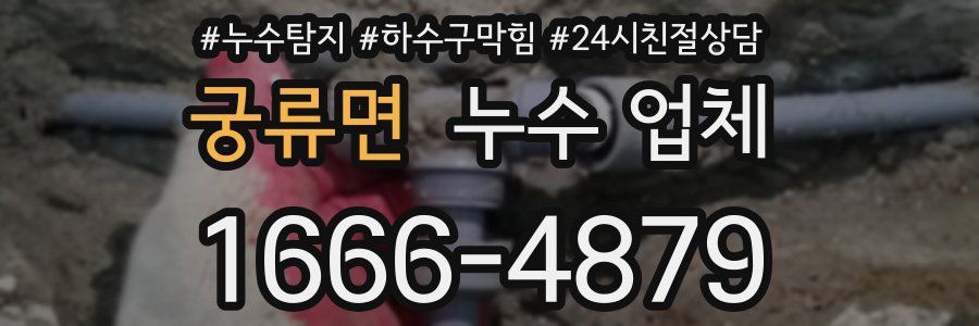 궁류면 누수 업체