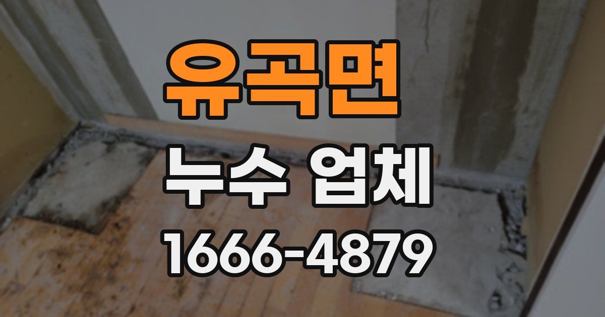 유곡면 누수 업체