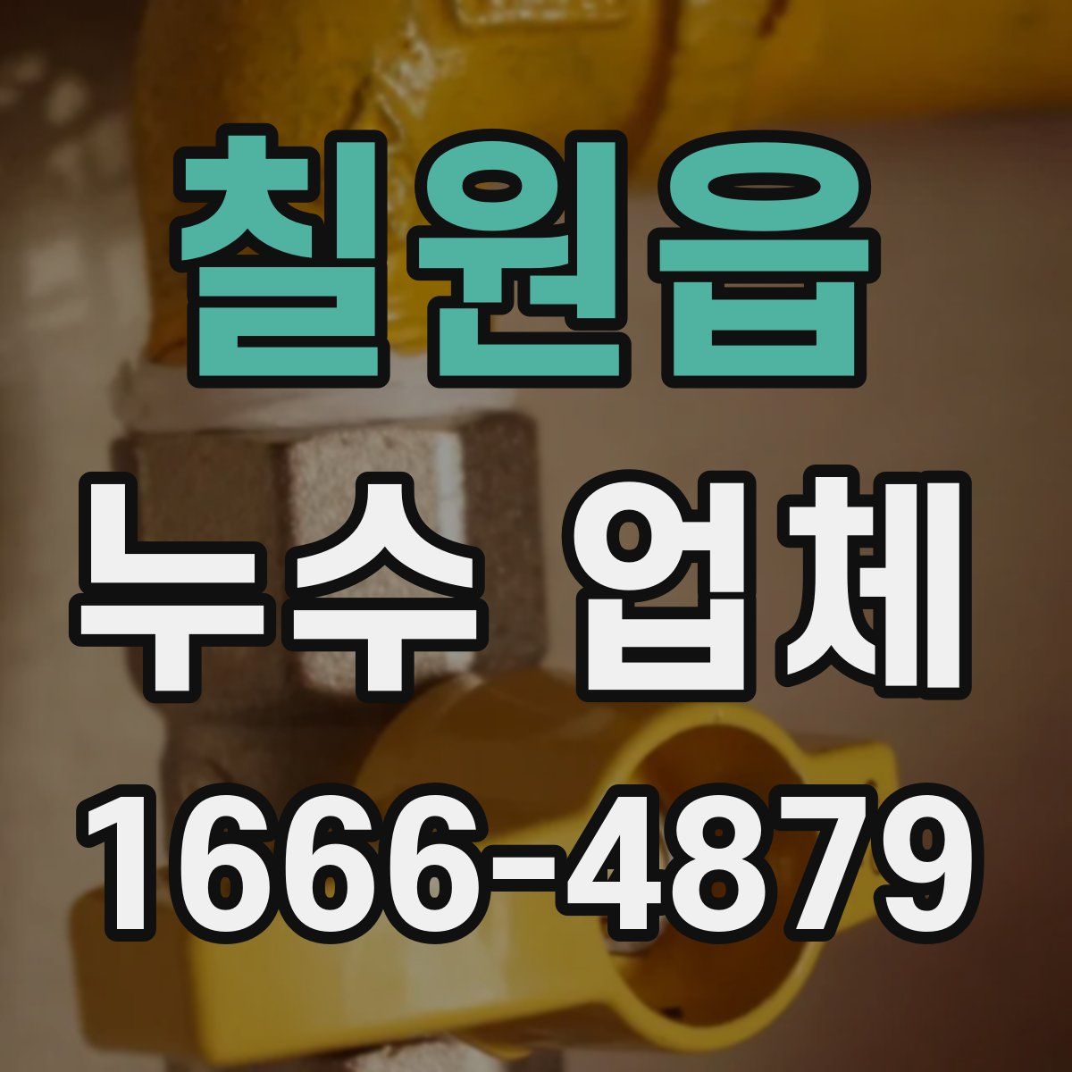 칠원읍 누수 업체