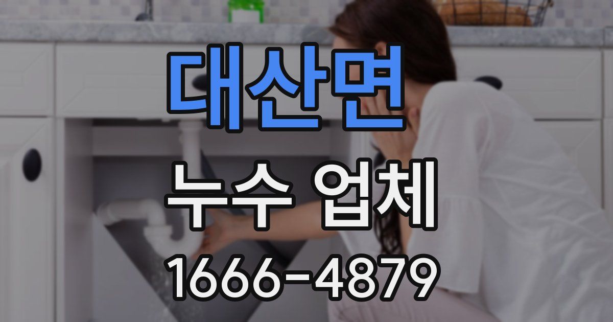대산면 누수 업체