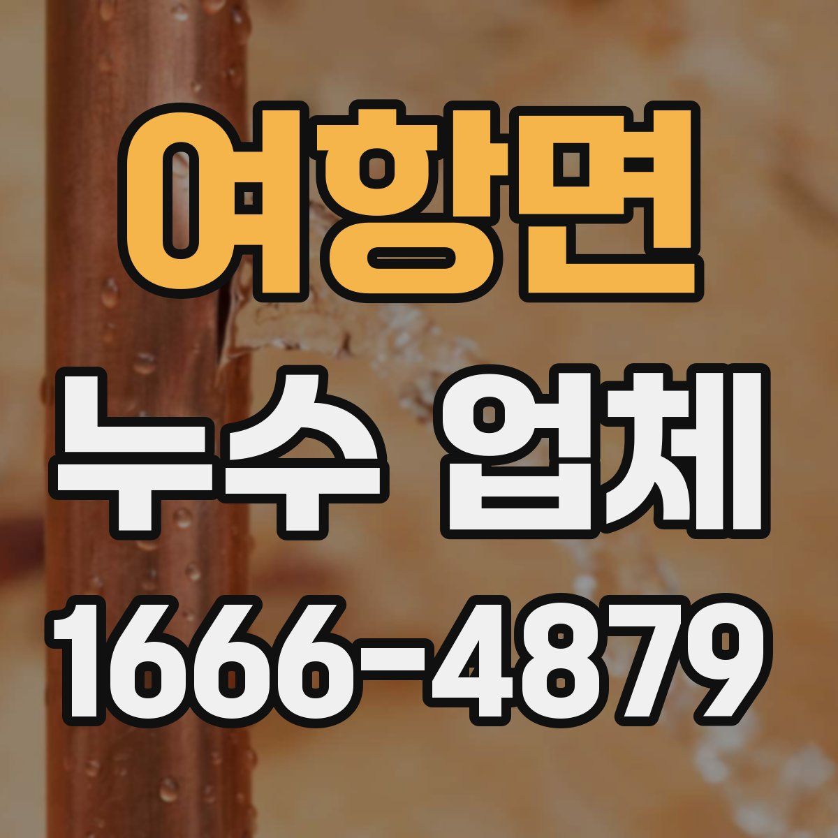 여항면 누수 업체