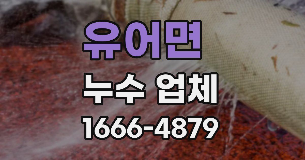 유어면 누수 업체