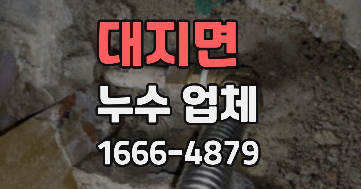 대지면 누수 업체