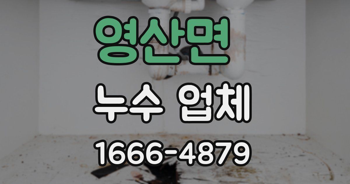 영산면 누수 업체