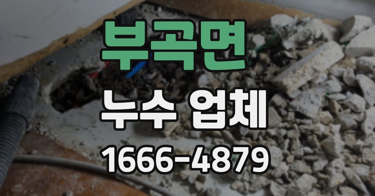 부곡면 누수 업체