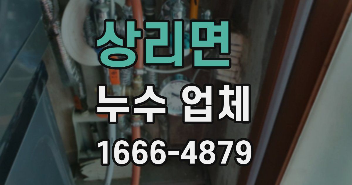 상리면 누수 업체