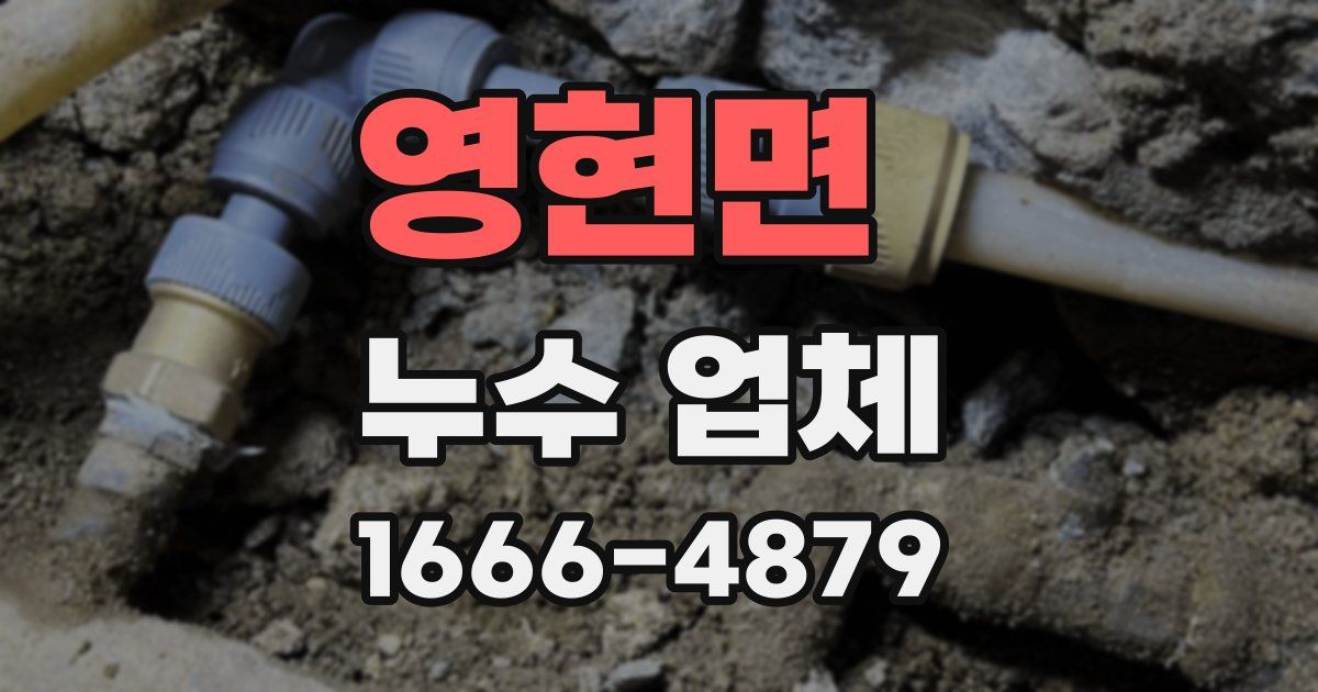 영현면 누수 업체