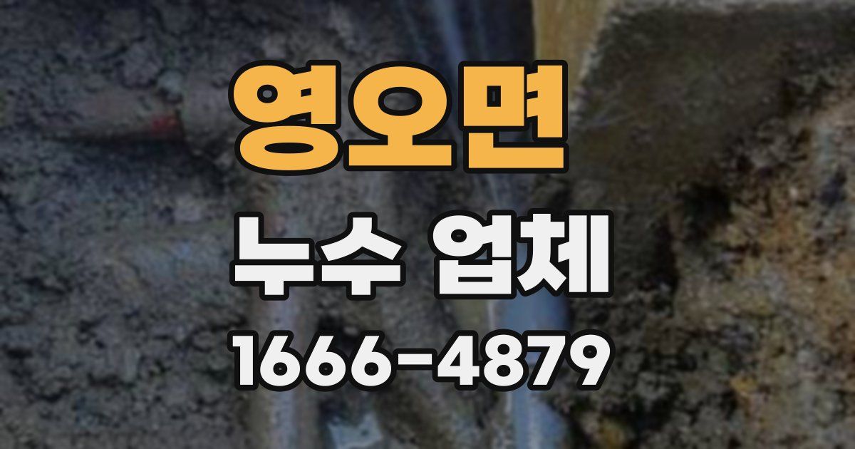 영오면 누수 업체