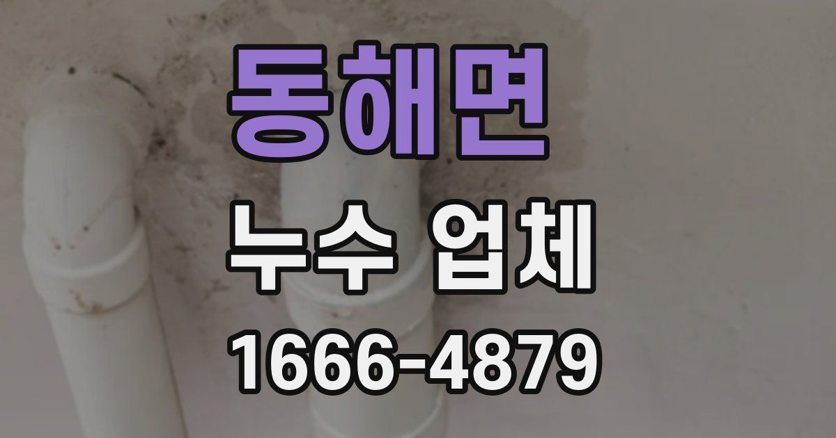 동해면 누수 업체