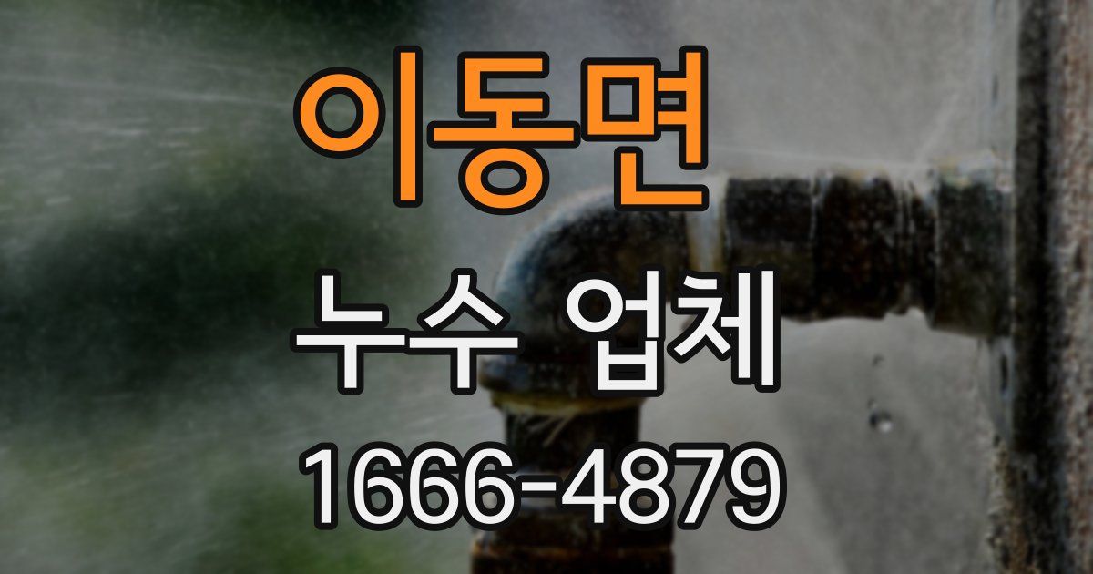 이동면 누수 업체