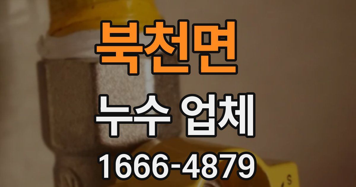 북천면 누수 업체