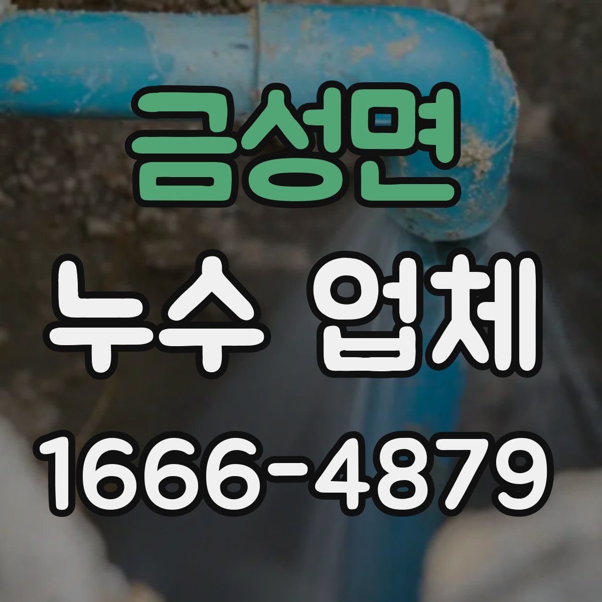 금성면 누수 업체