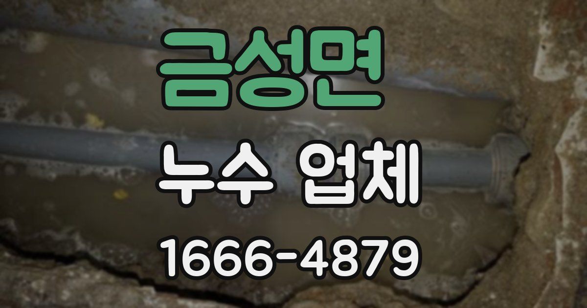 금성면 누수 업체