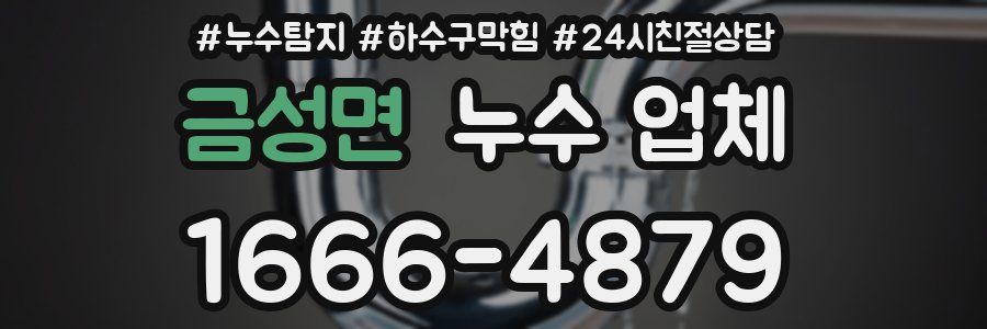 금성면 누수 업체