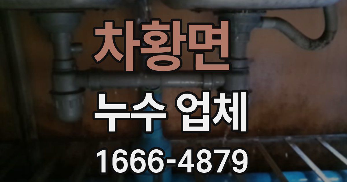 차황면 누수 업체