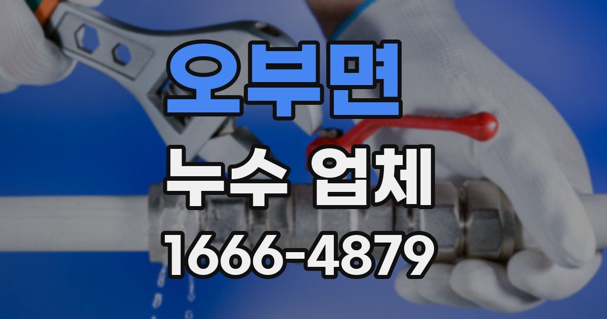 오부면 누수 업체