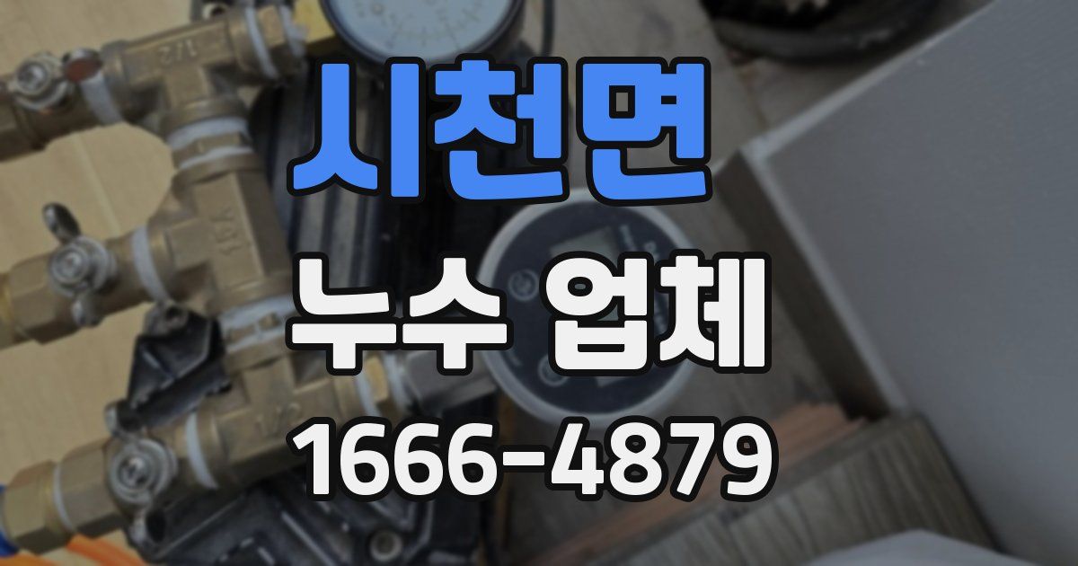 시천면 누수 업체