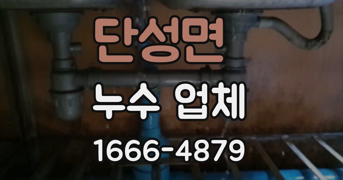단성면 누수 업체