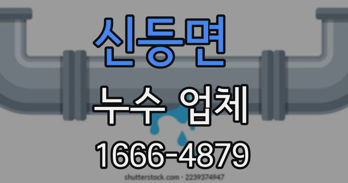 신등면 누수 업체