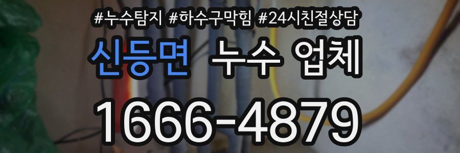 신등면 누수 업체
