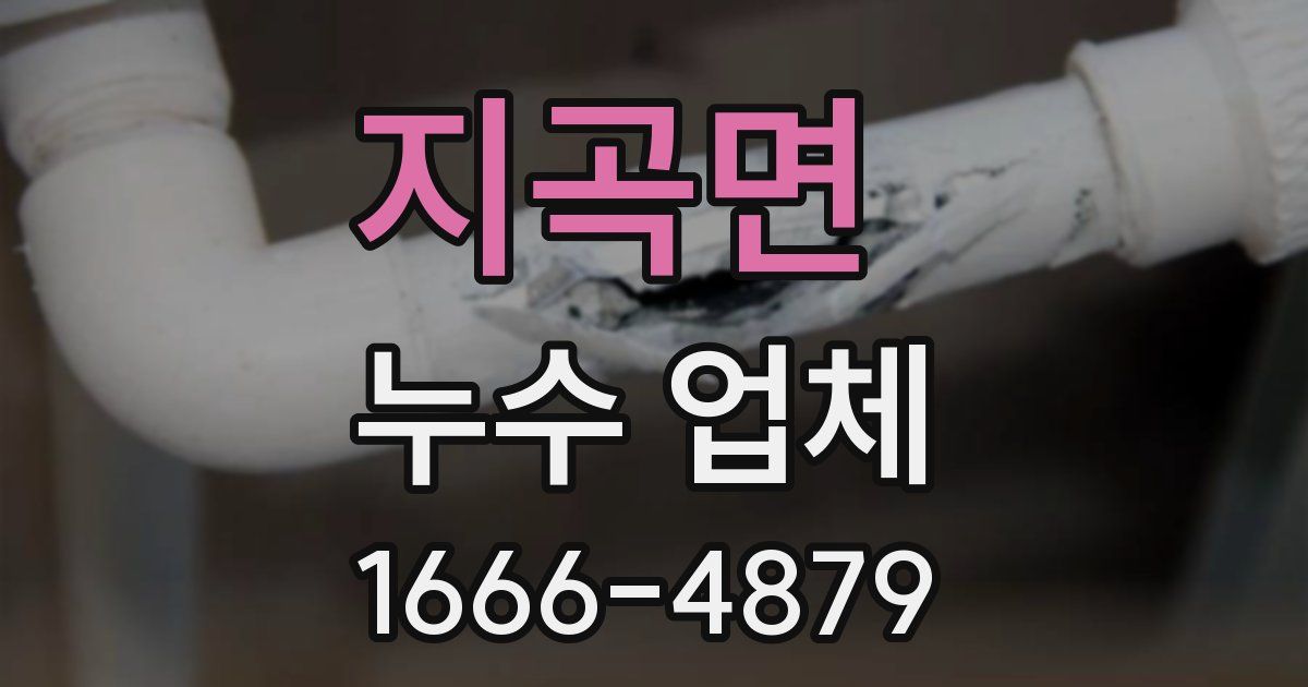 지곡면 누수 업체