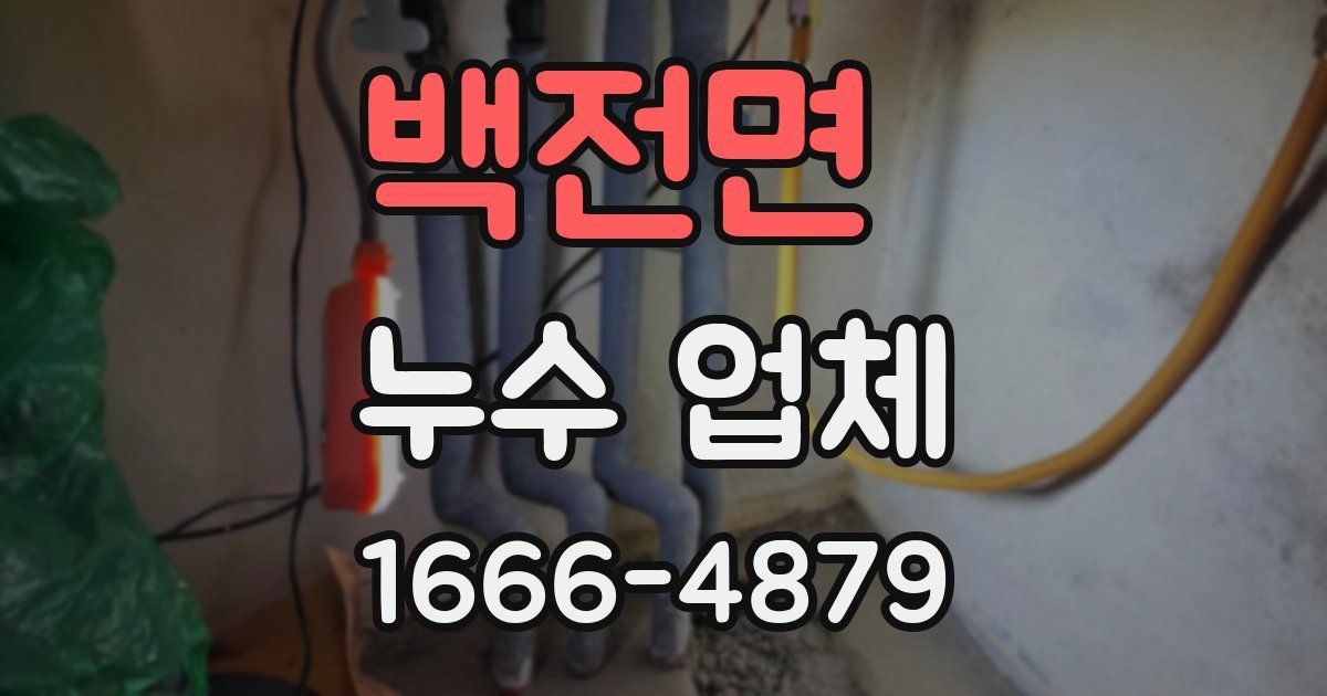 백전면 누수 업체