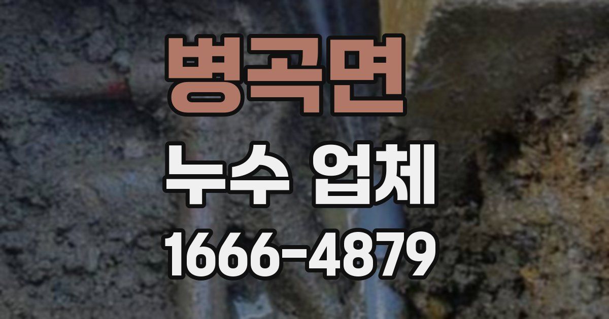 병곡면 누수 업체