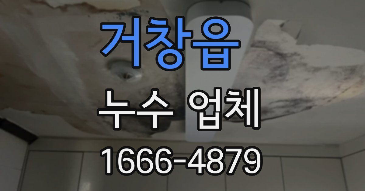 거창읍 누수 업체