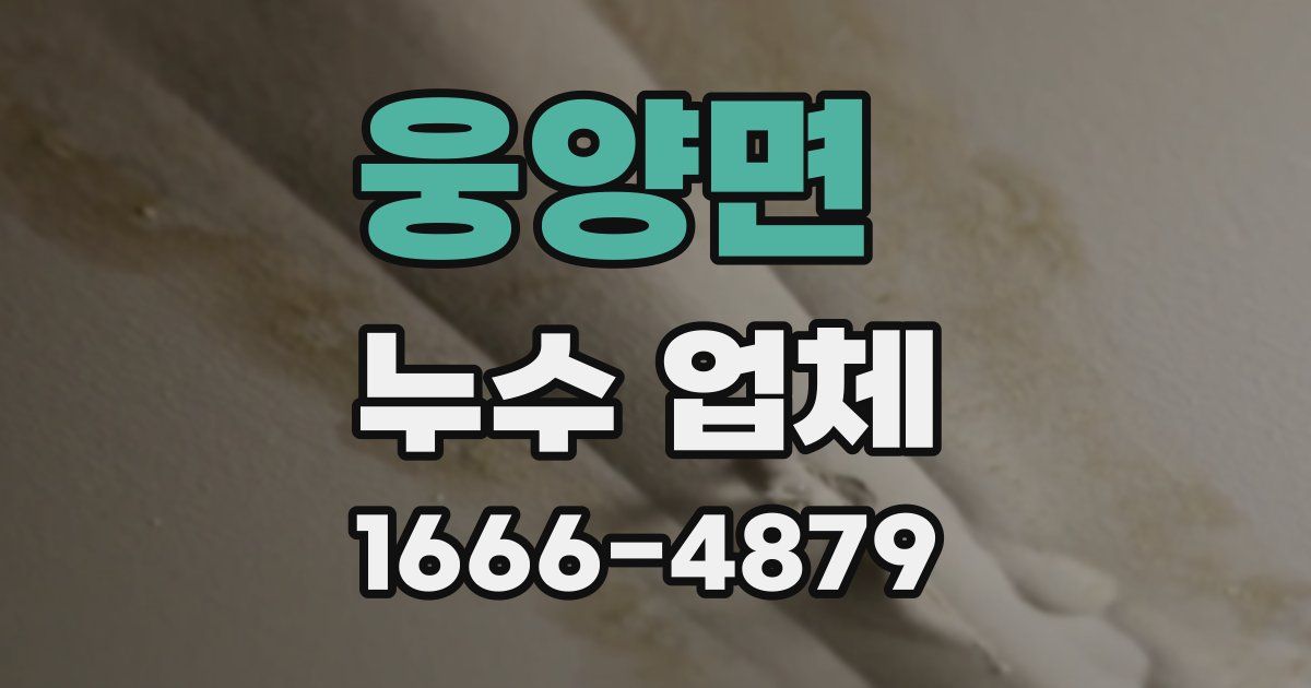 웅양면 누수 업체